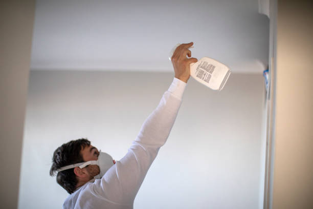 Best Mold Testing and Removal  in Longview Heights, WA